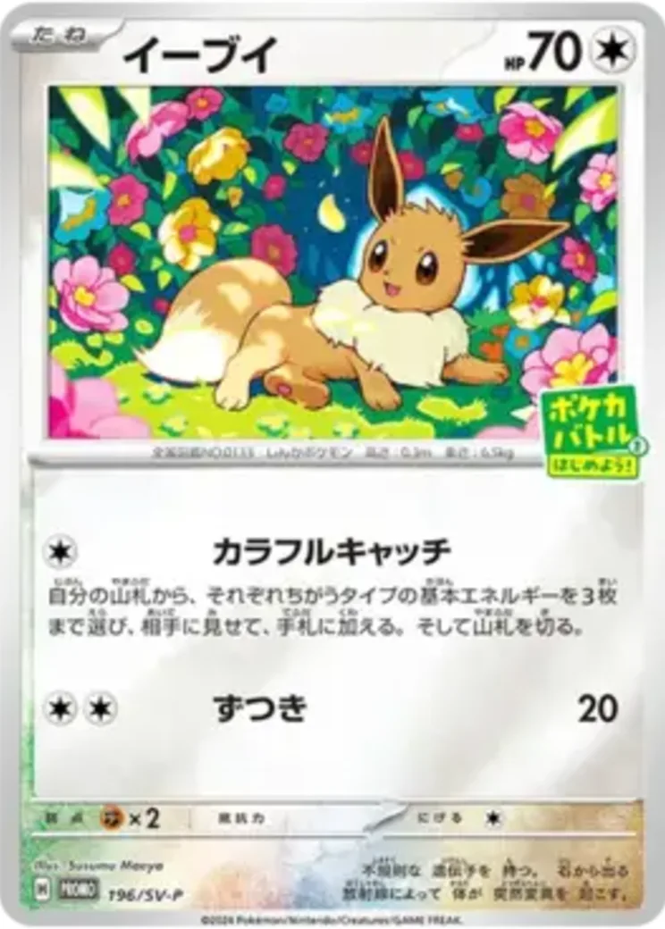 イーブイ P [SV-P-SM 196](プロモカードパック「ポケカバトルをはじめよう！キャンペーン」)
